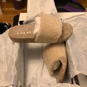 Coach Slides
